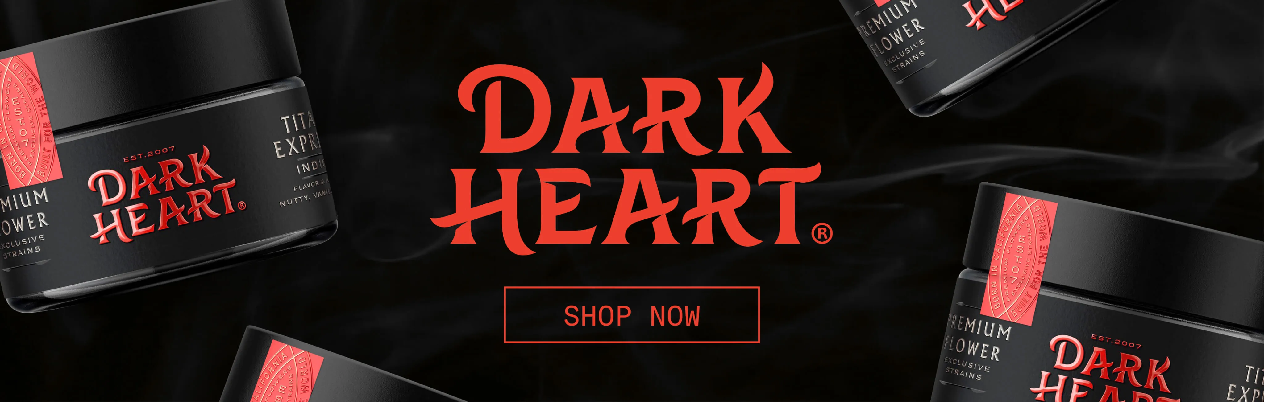 Travel Agency promotional banner - Click to learn more