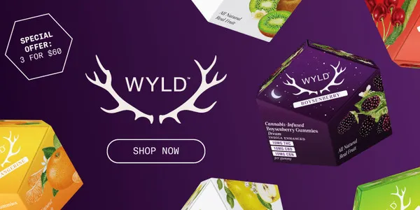 Travel Agency promotional banner - Click to learn more