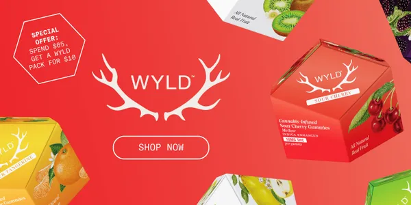 Travel Agency promotional banner - Click to learn more