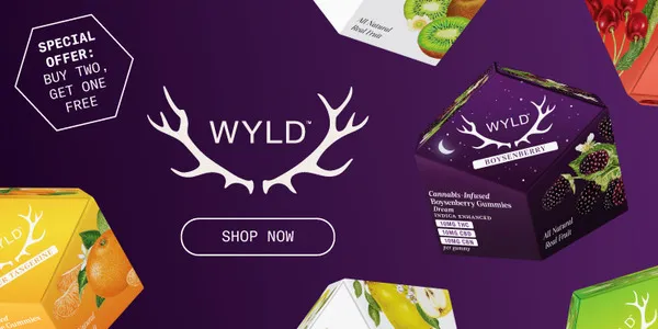 Travel Agency promotional banner - Click to learn more