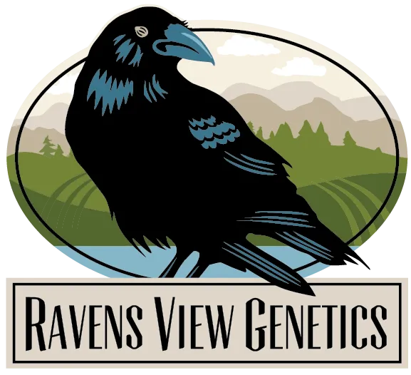 Ravens View Genetics brand logo
