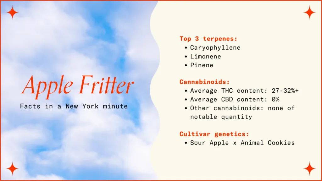 "Apple Fritter Facts in a New York minute.