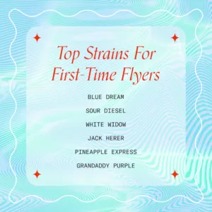 "Top Strains for First-Time Flyers"