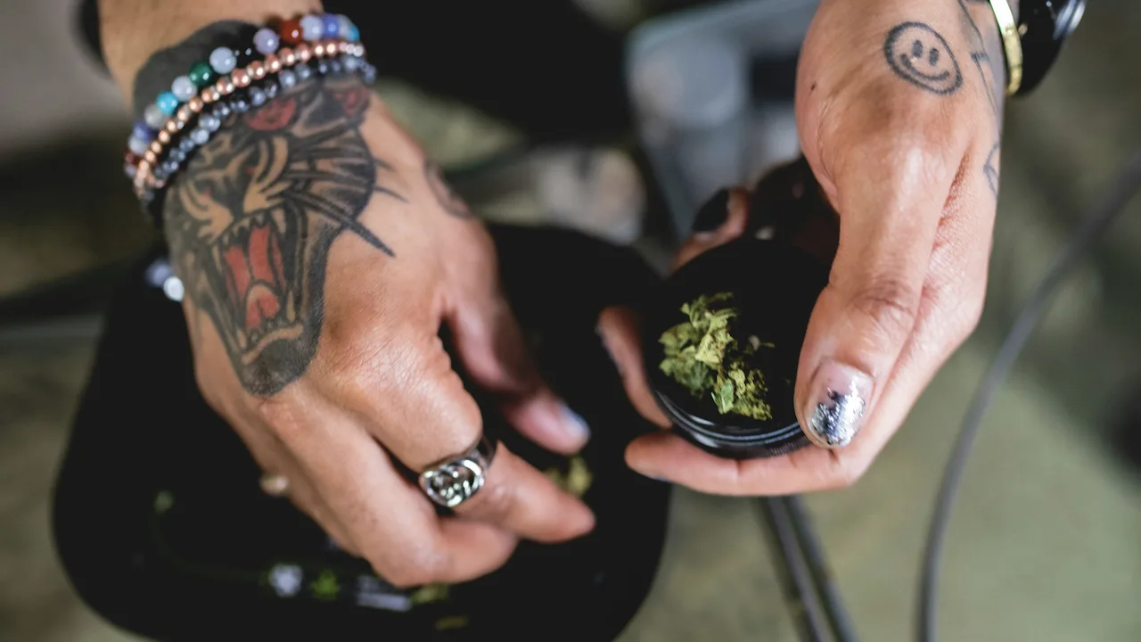 Hands with multiple tattoos grinding cannabis in a black grinder.