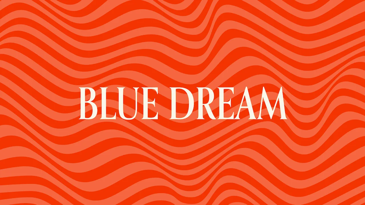 Blue Dream: A Strain Above The Rest