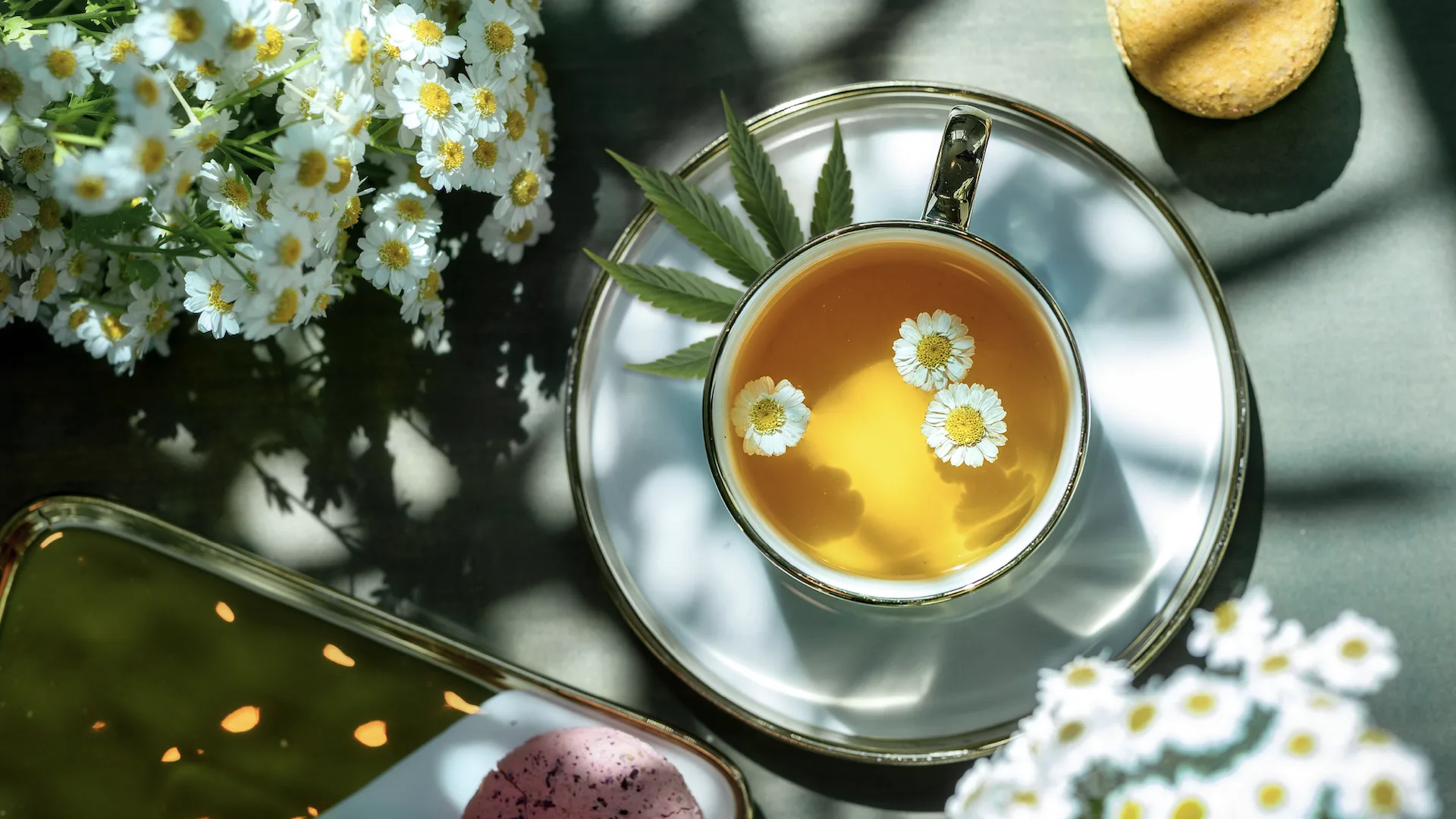 White tea cup of brewed chamomile THC-infused tea set on top of a cannabis leaf and white flower bouquets.