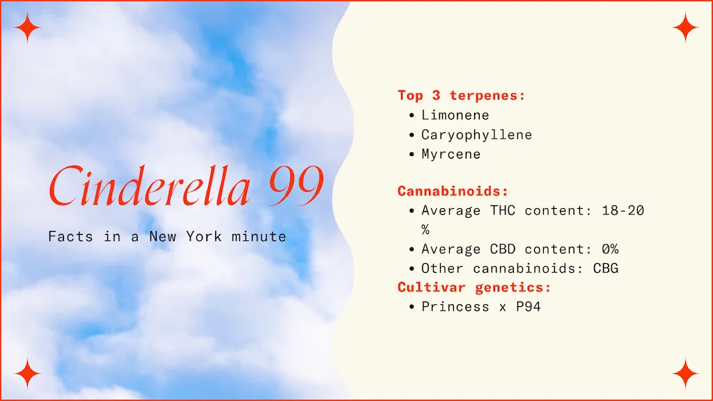 "Cinderella 99"