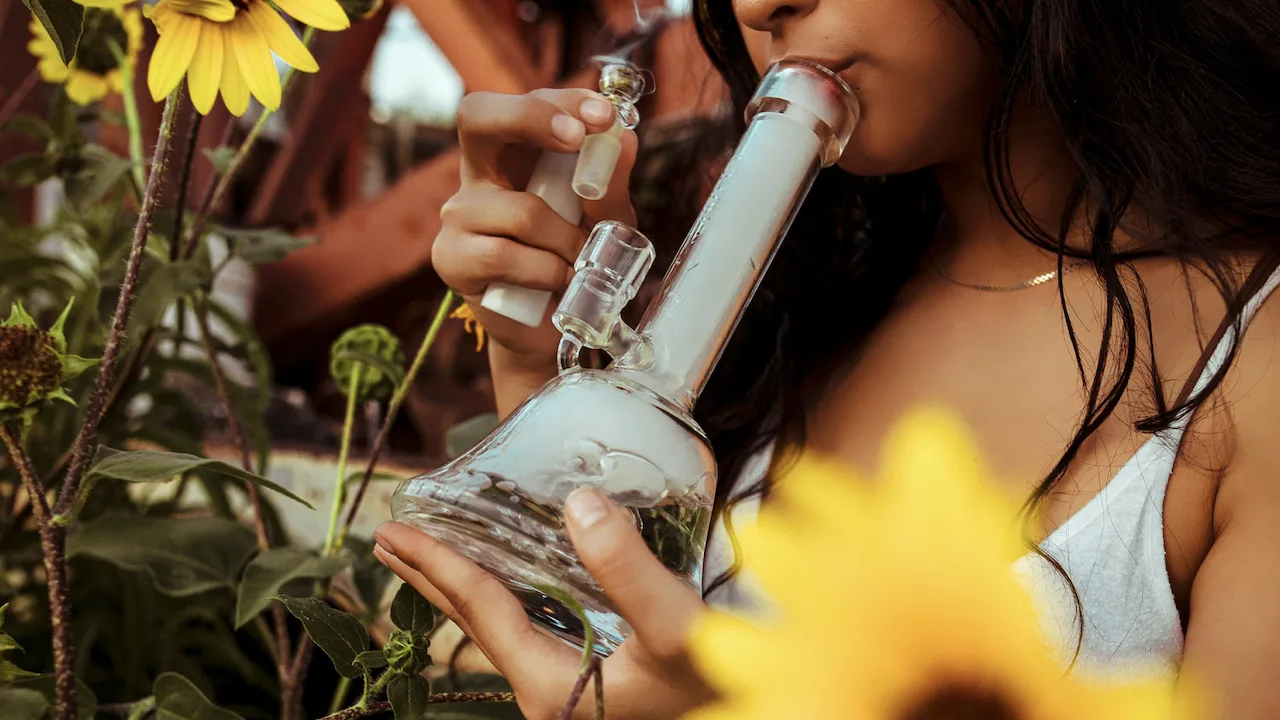 Woman smoking a bong in a Sunflower field.