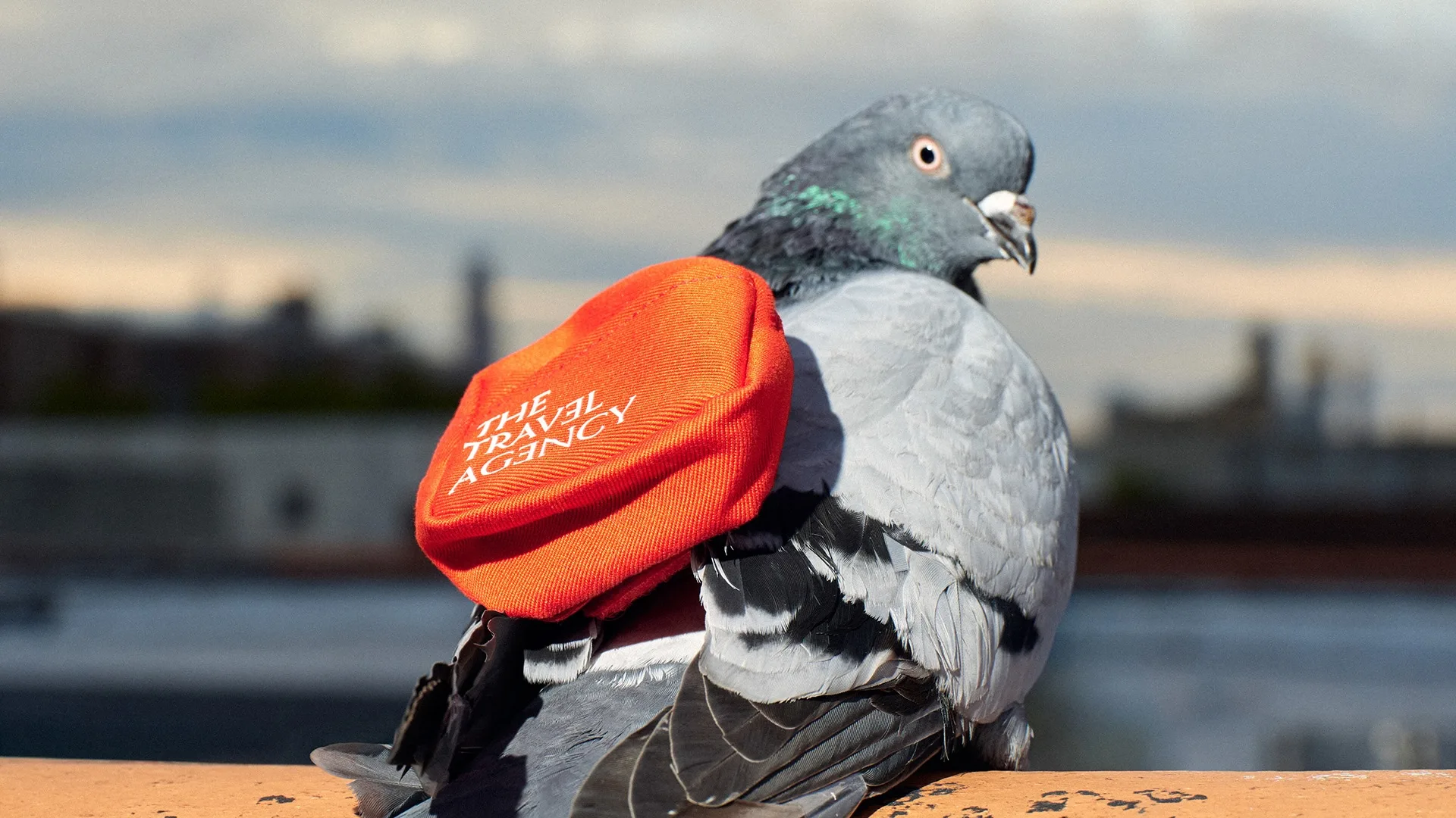 pigeon with red backpack that says The Travel Agency with NYC skyline - for The Travel Agency campaign - Project Pigeon: Couriers for NYC Cannabis Delivery