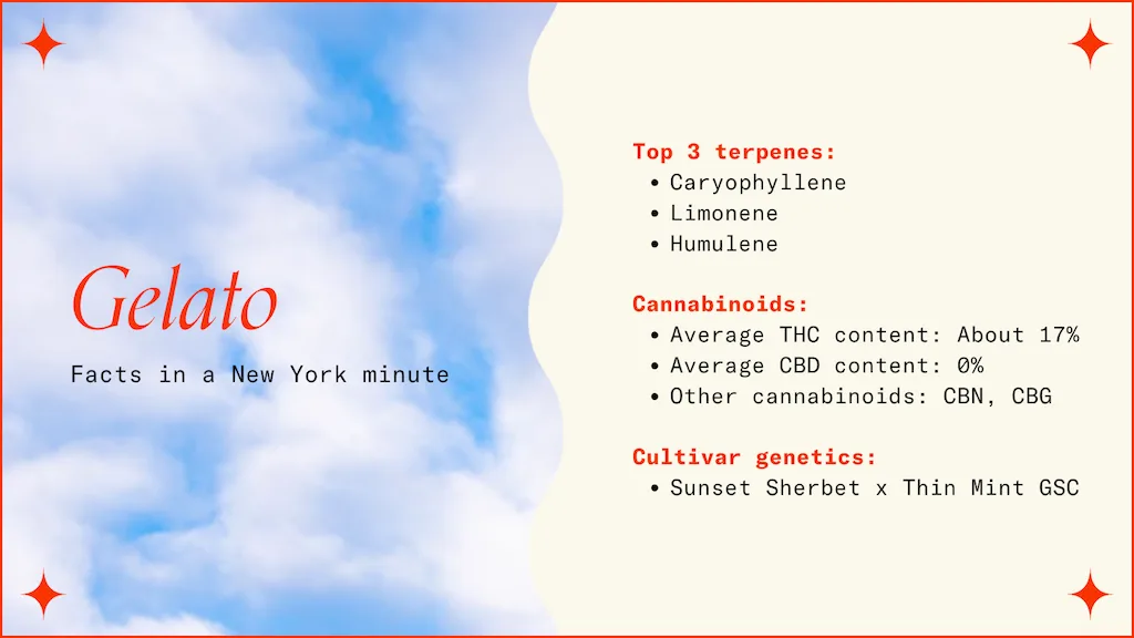 "Gelato Facts in a New York minute; Top three terpenes, Cannabinoids, Cultivar genetics"