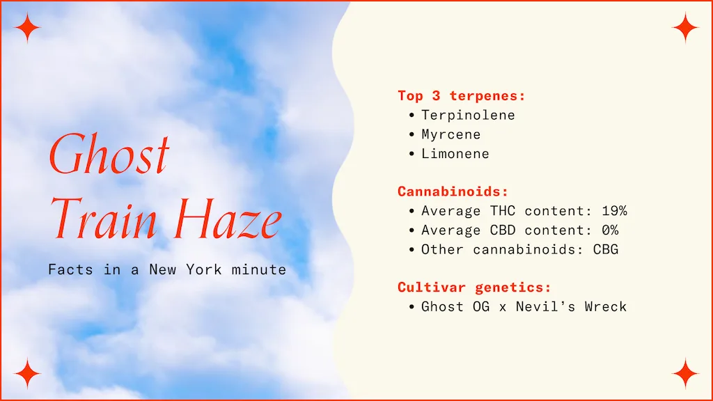 "Ghost Train Haze Facts in a New York minute"