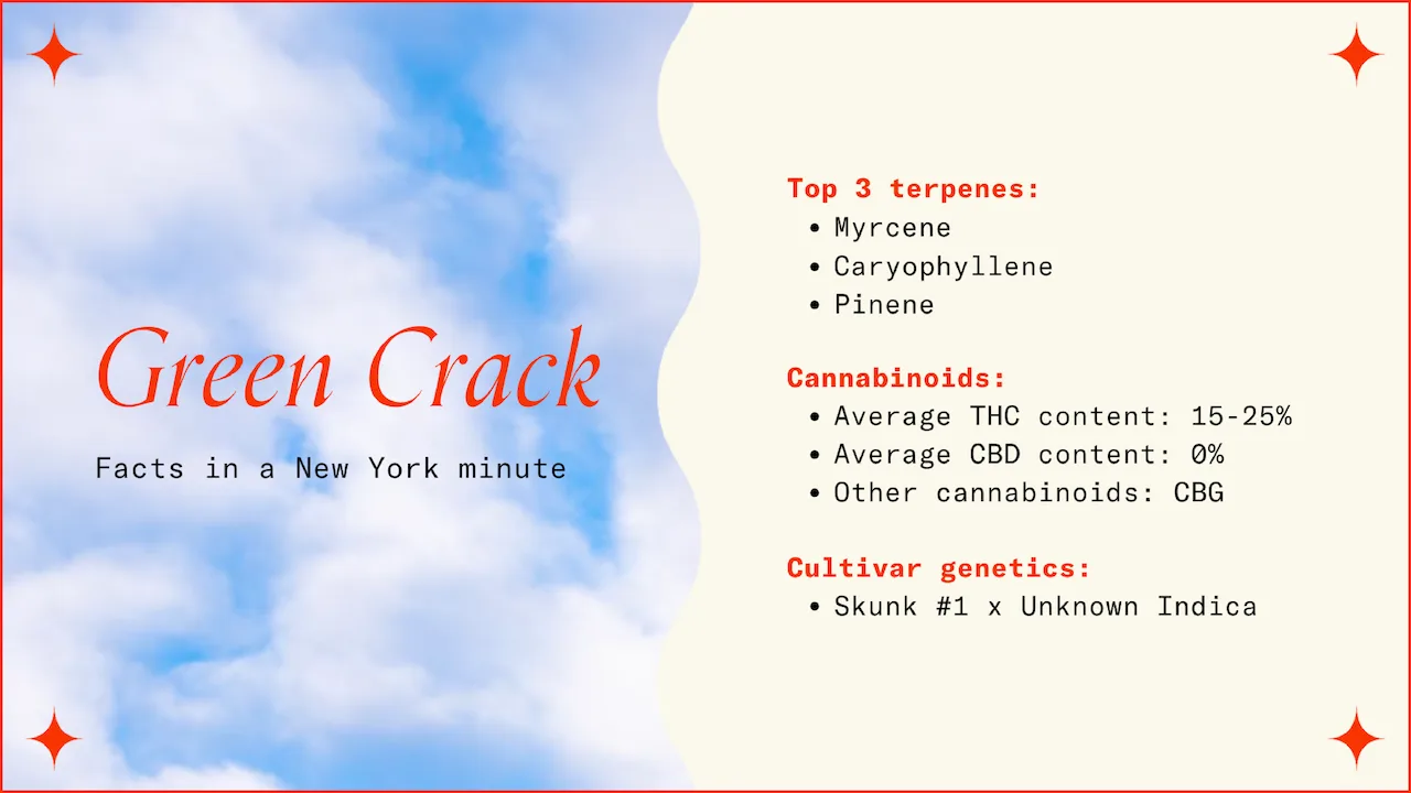 "Green Crack Facts in a New York Minute"
