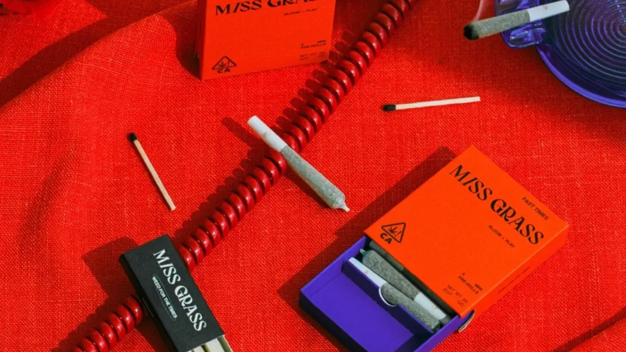 Pre-rolls NYC Guide: What’s Available?
