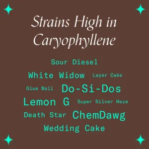"Strains High in Caryophyllene"