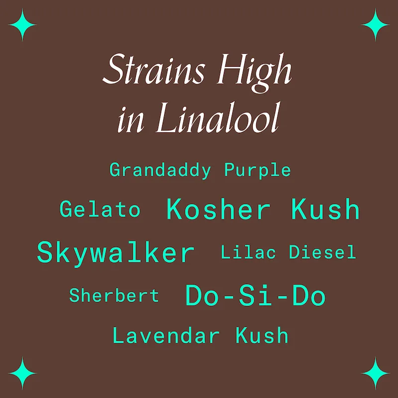 "Strain High in Linalool"