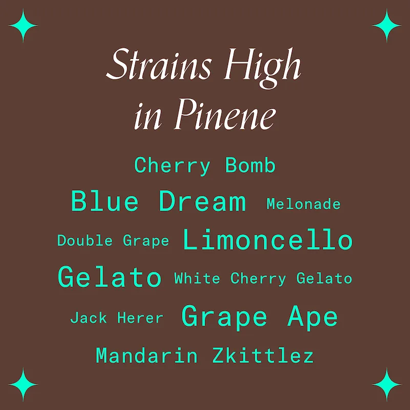 "Strains High in Pinene"