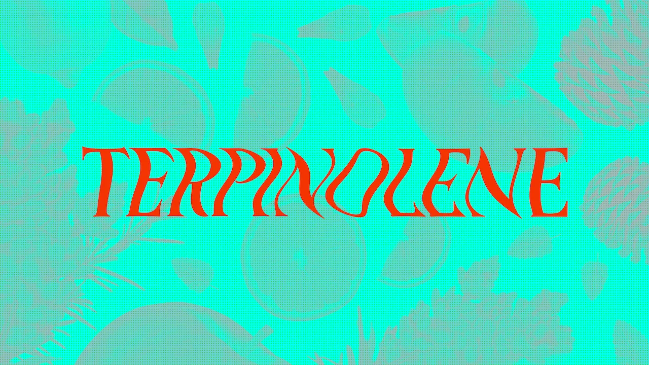 "Terpinolene"