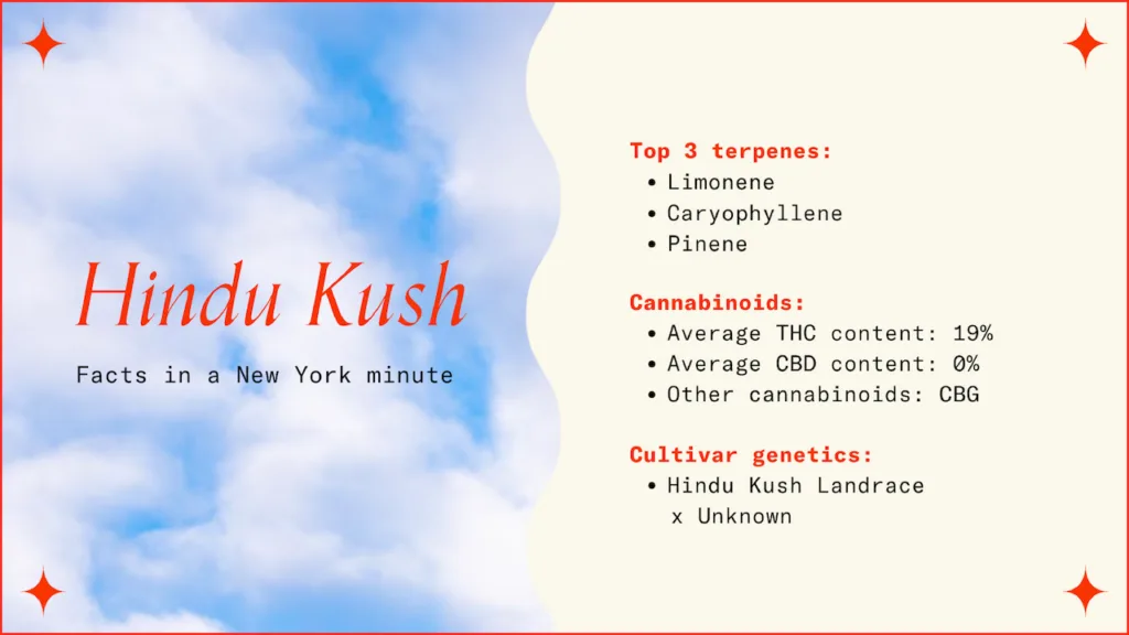"Hindu Kush Facts in a New York minute"