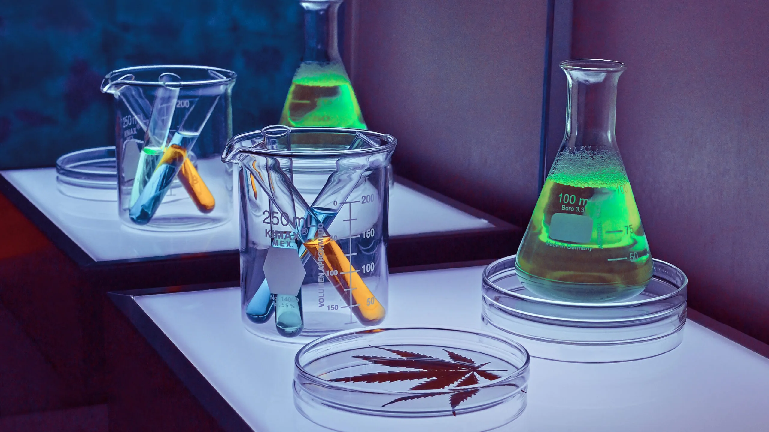 laboratory desk with beaker and dishes of cannabis products.