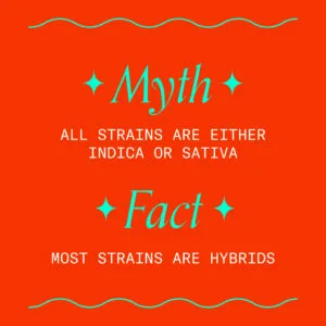 "Myth: All Strains are Either Indica or Sativa. Fact: Most strains are Hybrids"