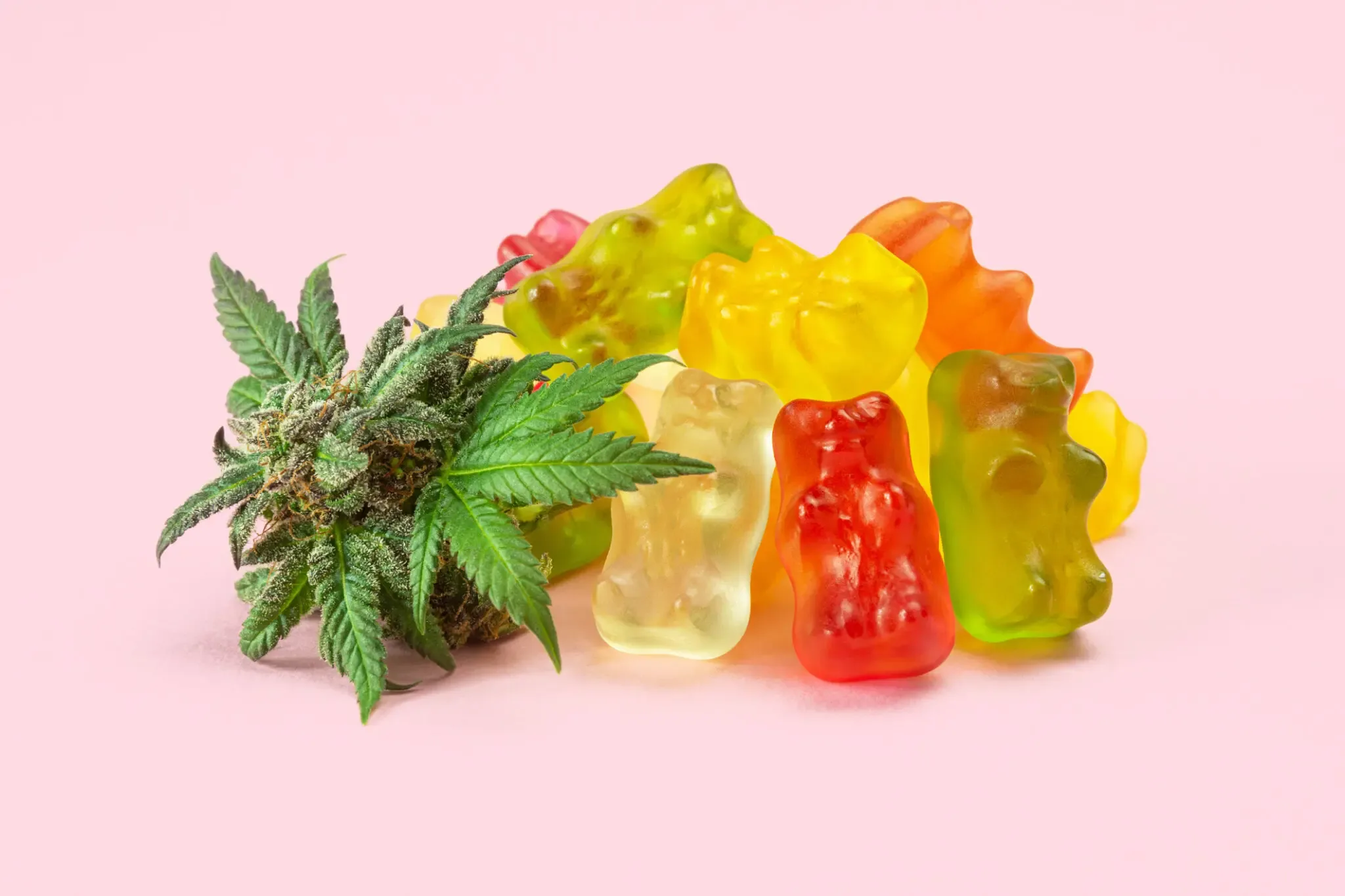 It’s National Poison Prevention Week — here’s how to protect your child from unintentionally ingesting cannabis edibles