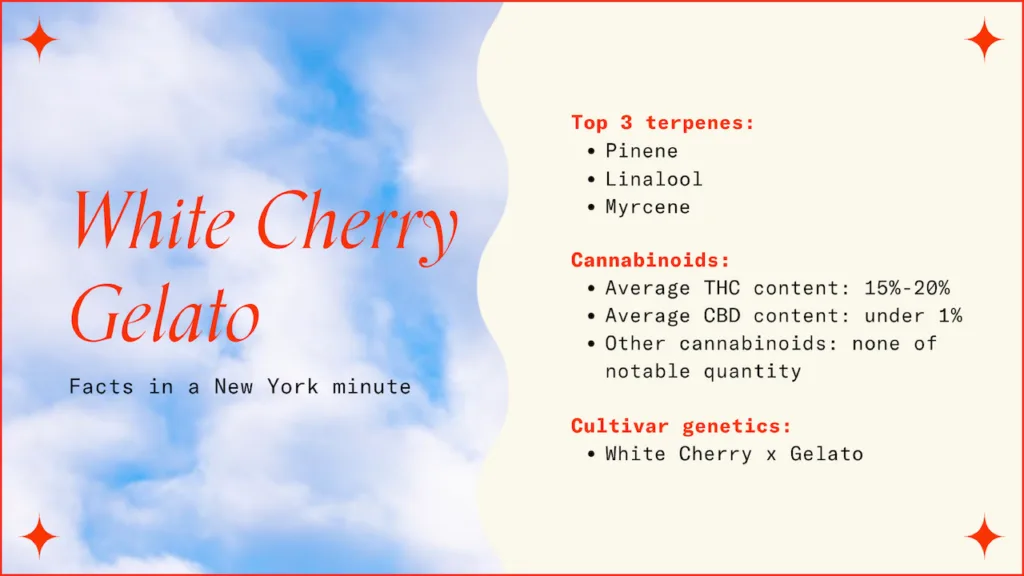 "White Cherry Gelato Facts in a New York minute"