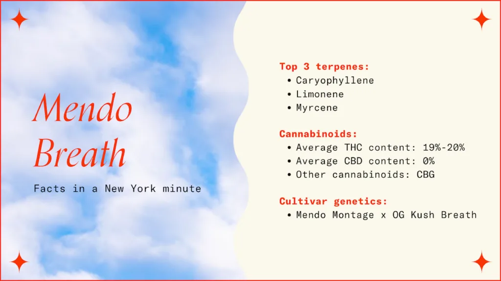 Mendo Breath strain facts.