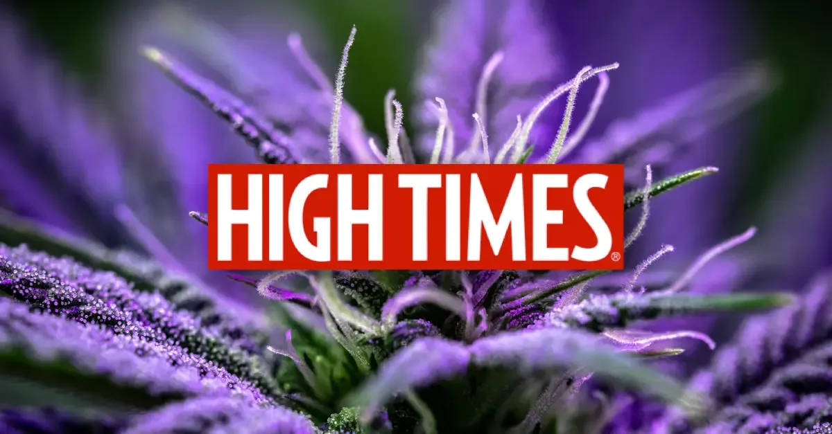 New York City Opens Third Legal Cannabis Store