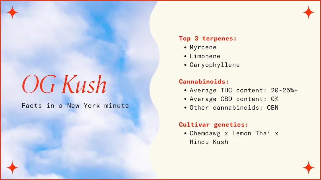"OG Kush Facts in a New York minute"