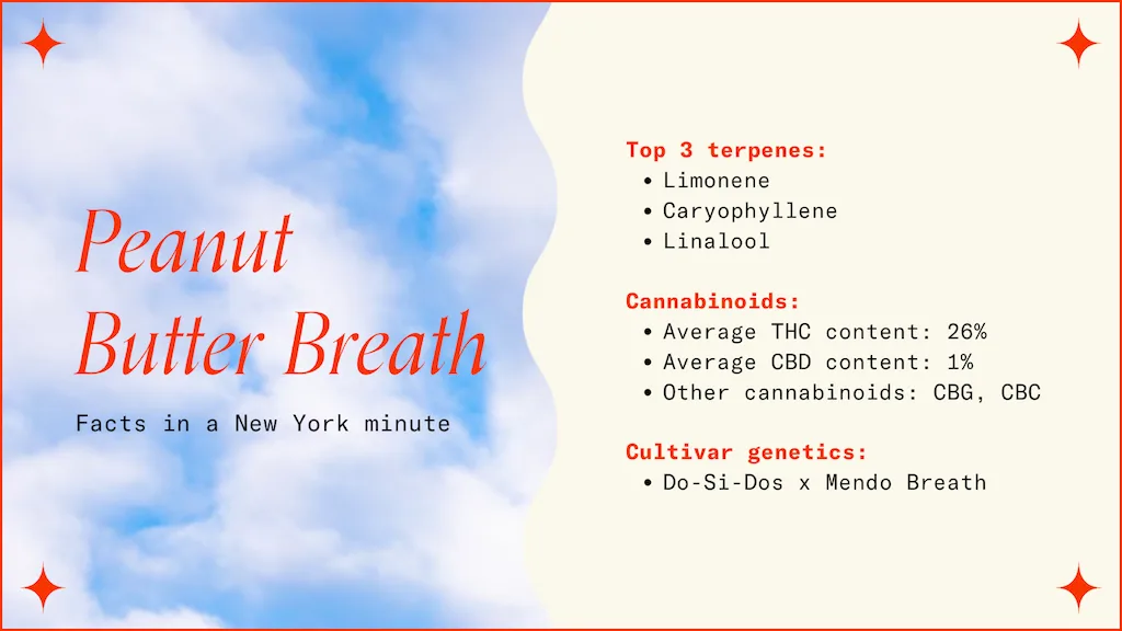 "Peanut Butter Breath Facts in a New York Minute"