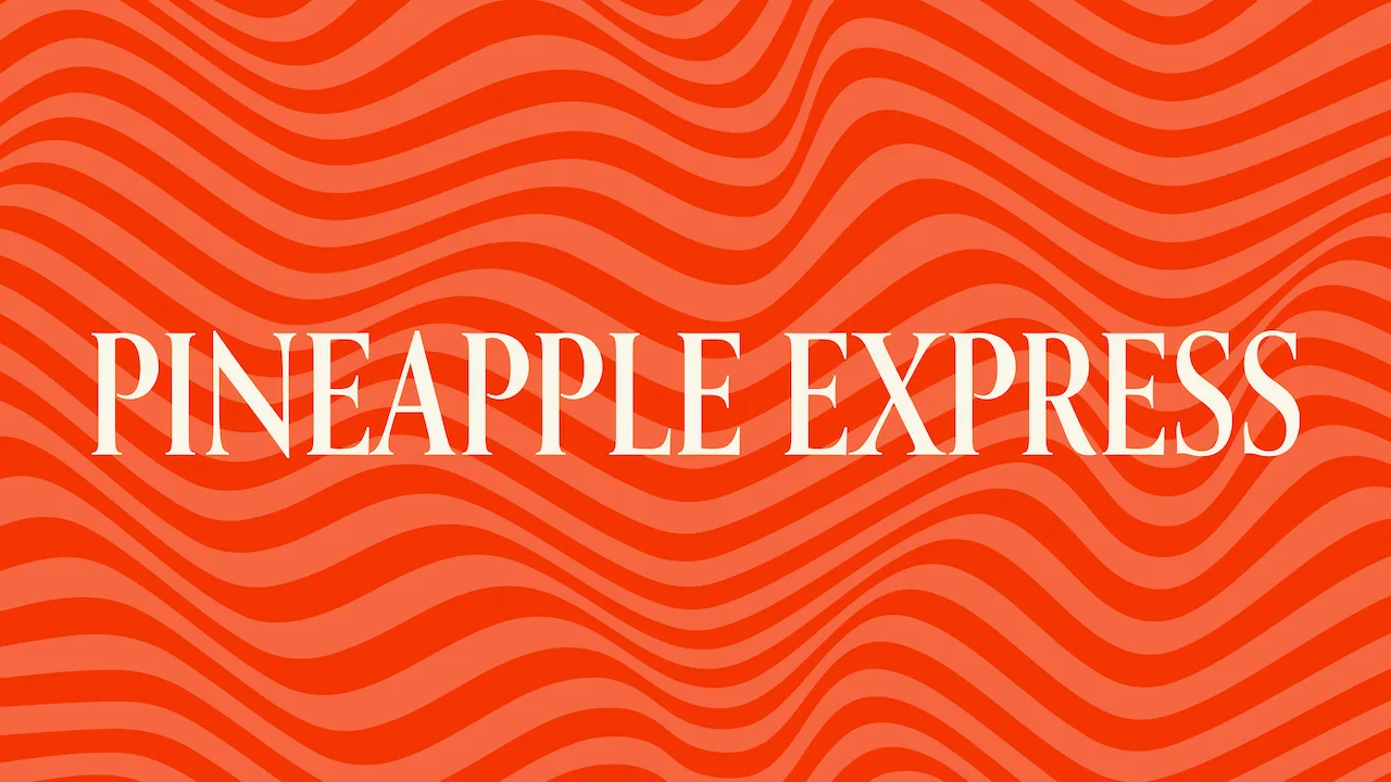 Pineapple Express Strain: Unleash a New York Adventure