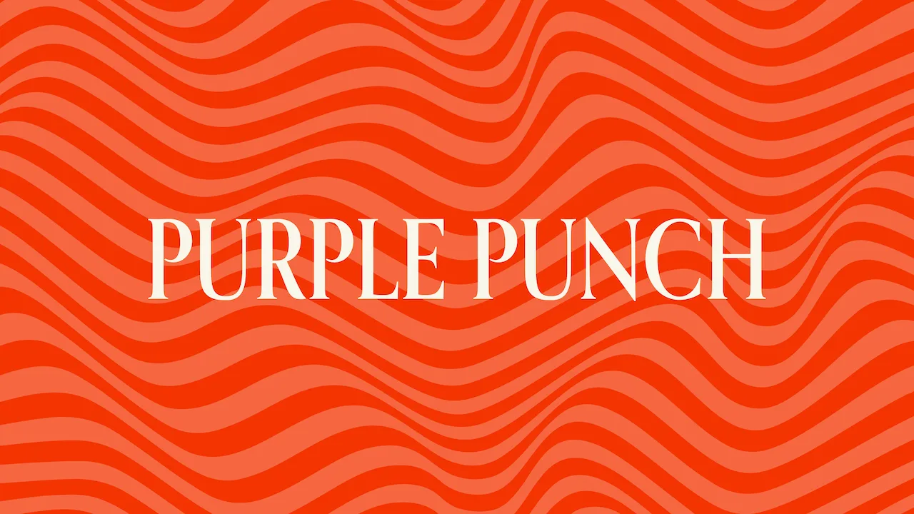 Purple Punch: For the Unwind