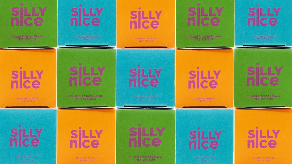 Silly Nice Review