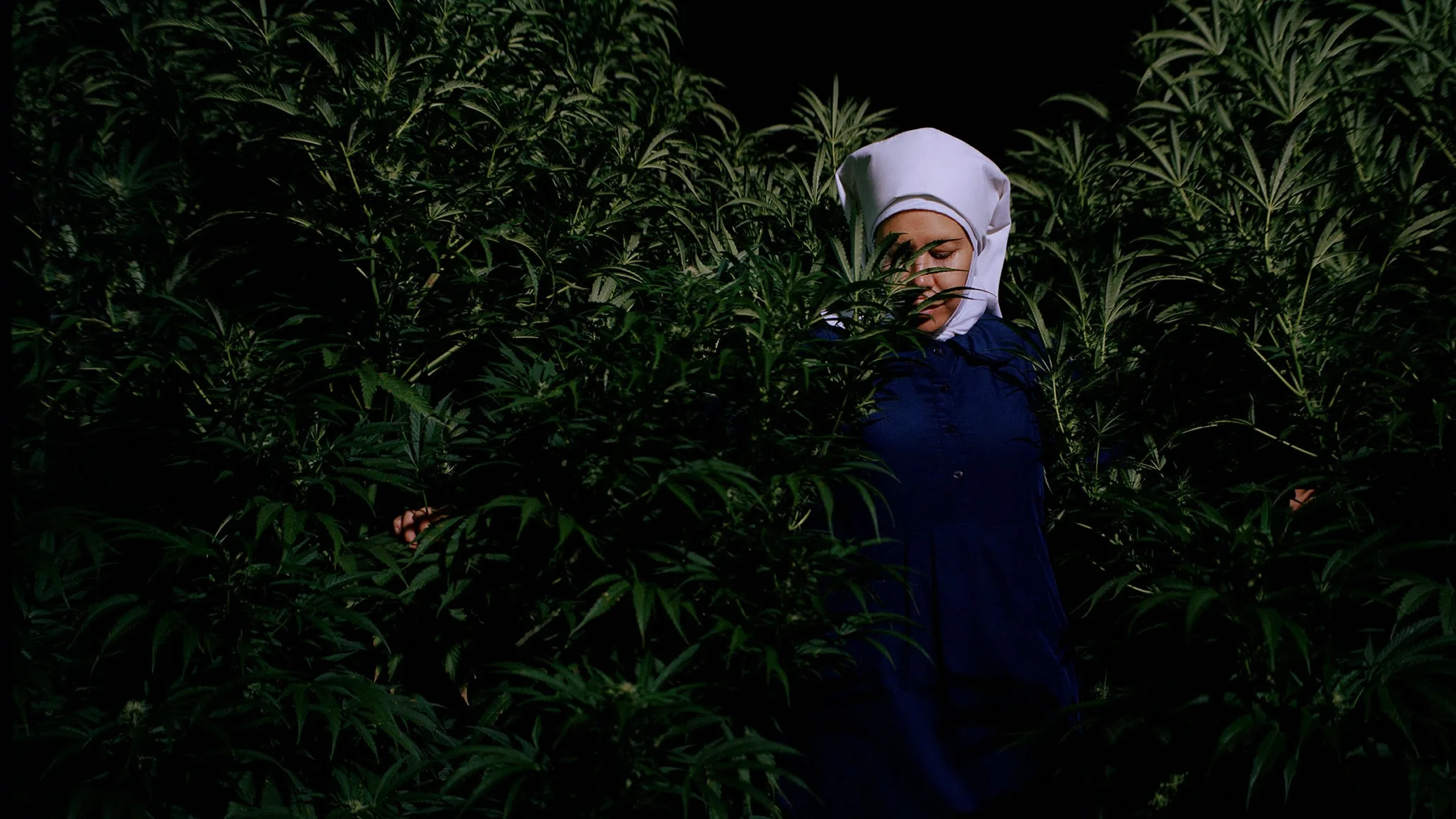 The Travel Agency Welcomes the “Weed Nuns” to New York for Harvest