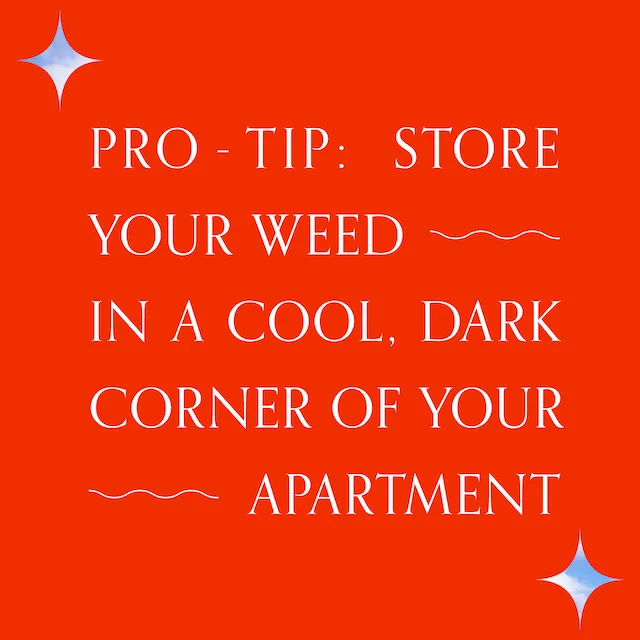 "Pro-Tip: Store Your Weed In a Cool, Dark Corner of Your Apartment"
