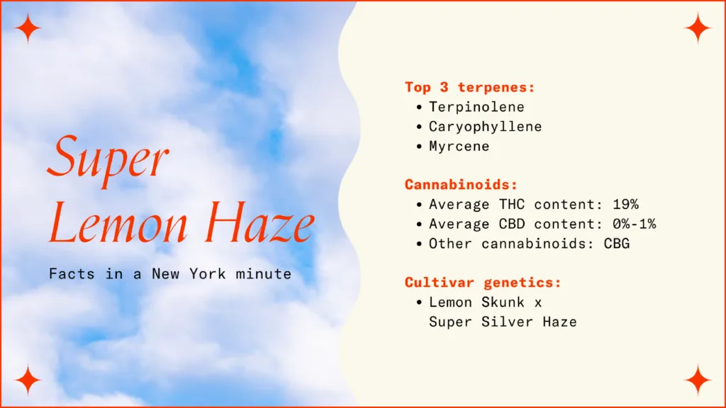 Super lemon haze strain facts.
