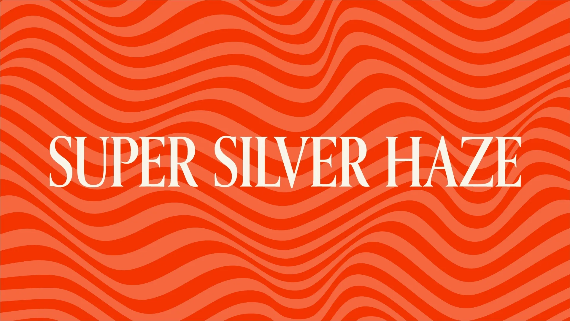 Enjoying The Haze: Learn More About The Super Silver Haze Strain
