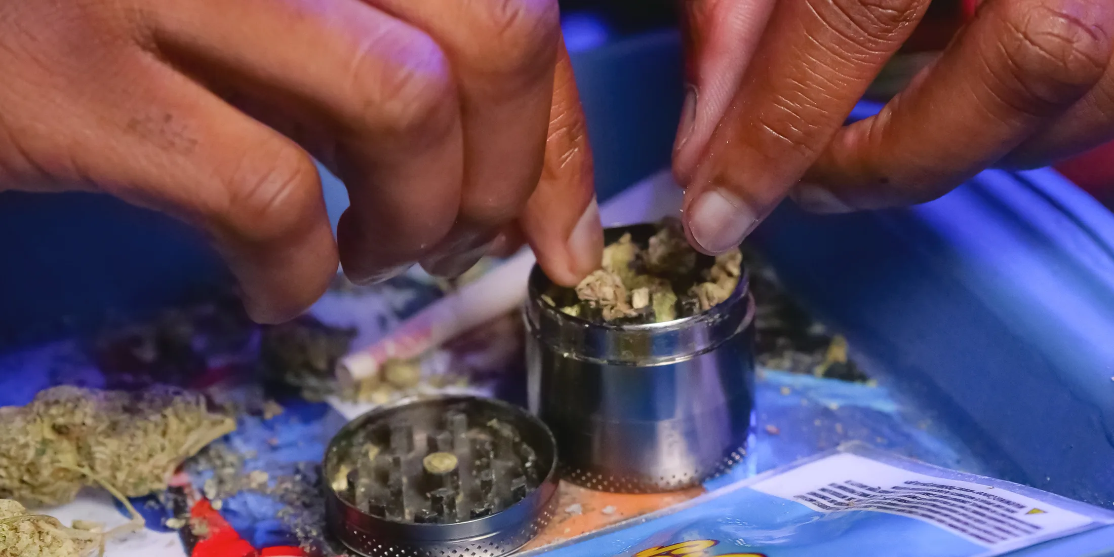 Man breaking down cannabis flower in a grinder.