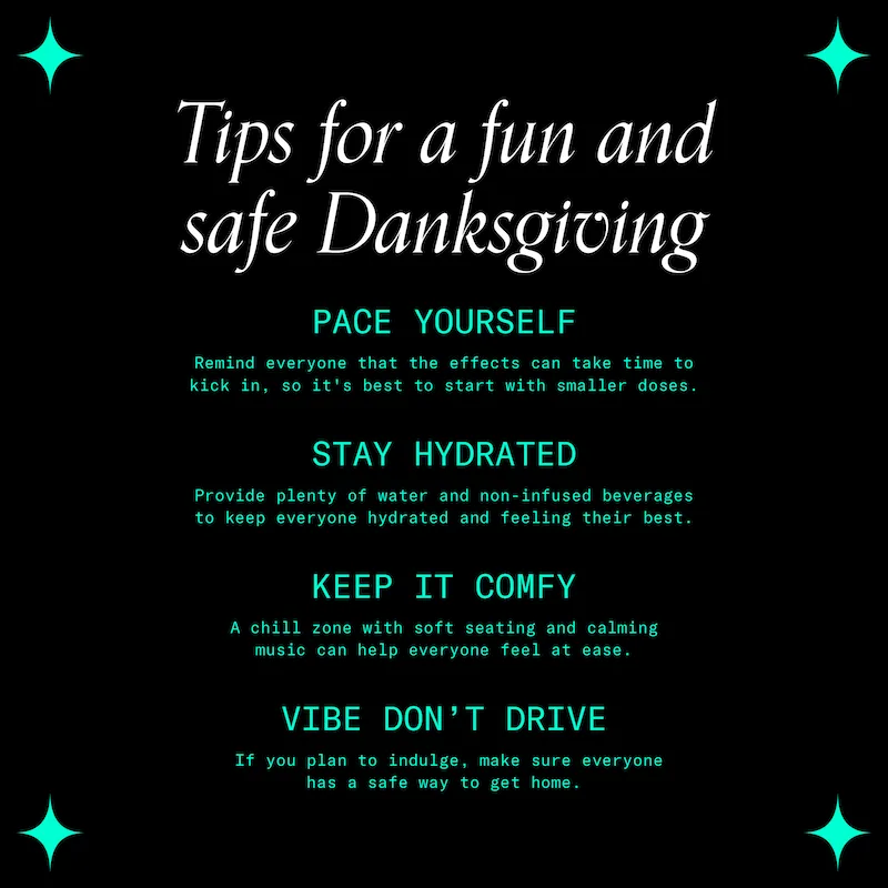 "Tips for a fun and safe Danksgiving: Pace yourself, Stay hydrated, Keep it Comfy, Vibe don't Drive"