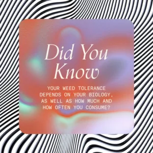 "Did You Know, Your weed tolerance depends on your biology, as well as how much and how often you consume?"