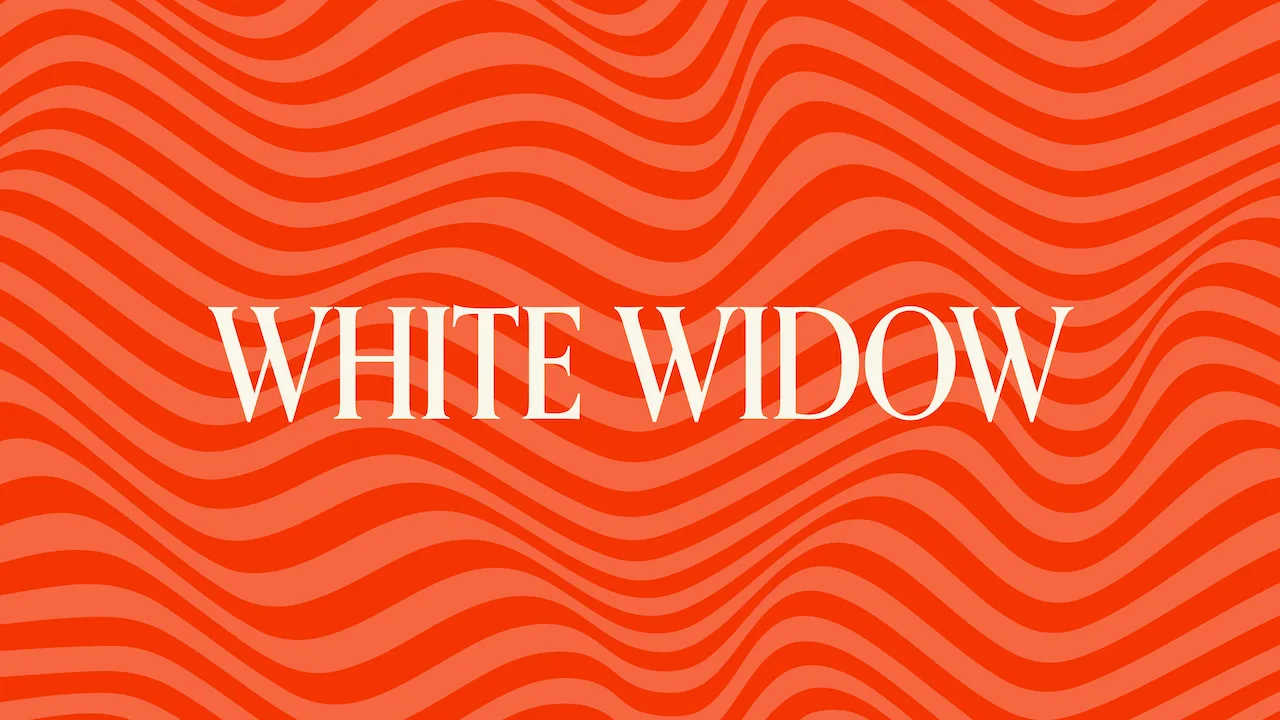 White Widow Strain: Learn More About a Classic